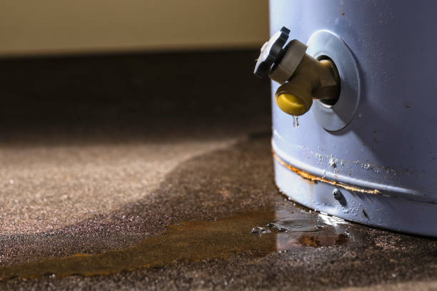 Best Local water damage restoration  in Morris, MN