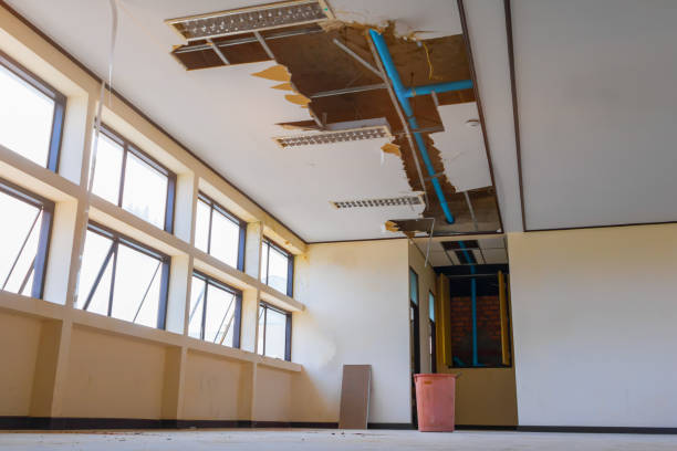 Best Flooded house restoration  in Morris, MN
