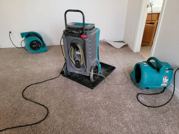 Best Local water damage restoration  in Morris, MN