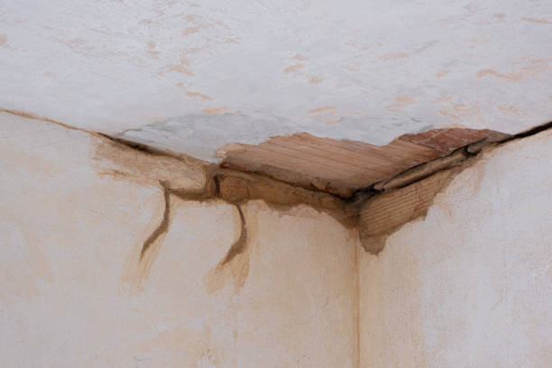 Best Residential water damage restoration  in Morris, MN