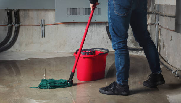 Best Basement water damage restoration  in Morris, MN