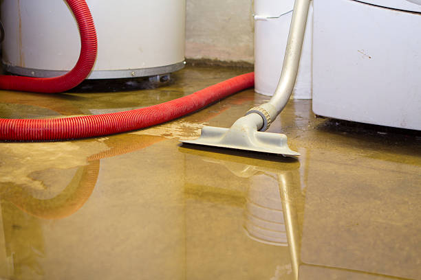 Best Flooded house restoration  in Morris, MN