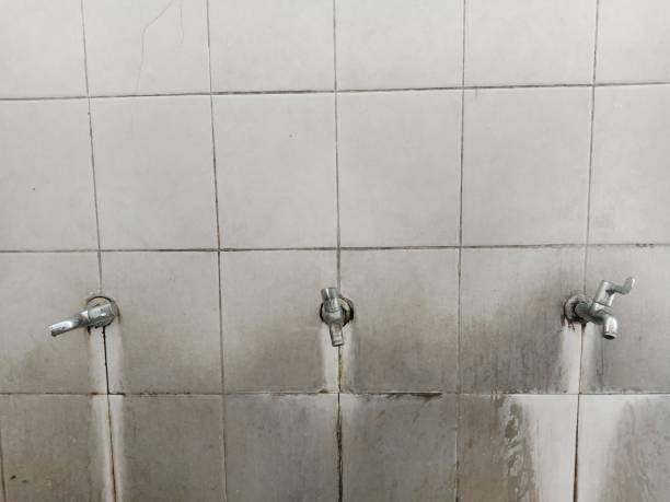 Best Sewage cleanup and water damage restoration  in Morris, MN