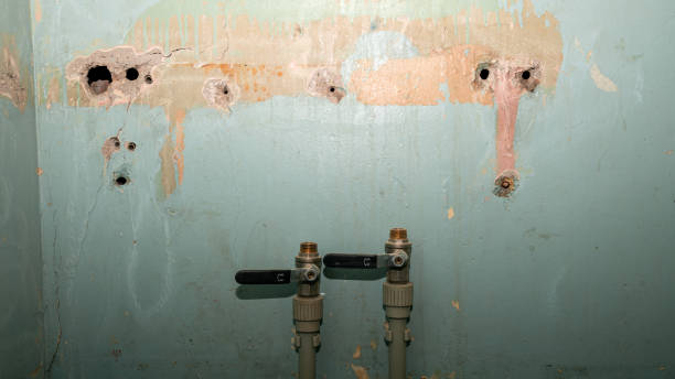 Best 24/7 water damage repair  in Morris, MN
