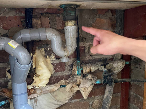 Best Water damage restoration cost  in Morris, MN