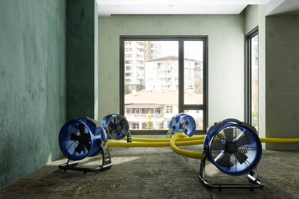 Best Sewage cleanup and water damage restoration  in Morris, MN
